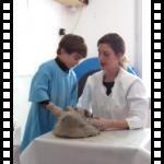 video_1.avi