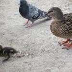 img_3453.jpg
