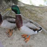 img_3455.jpg