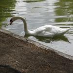 img_3456.jpg