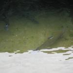 img_3508.jpg