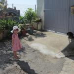 img_3923.jpg