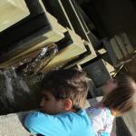 img_4024.jpg