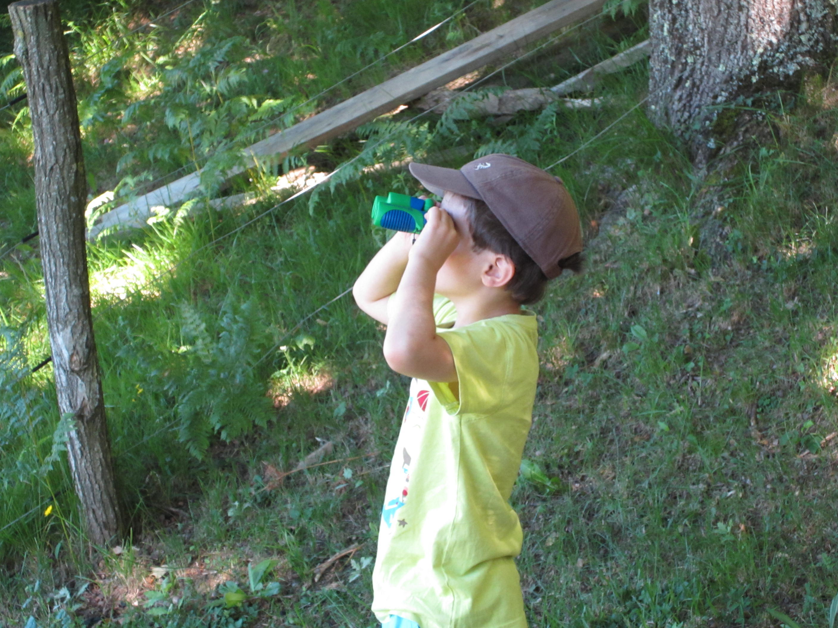 img_4142.jpg