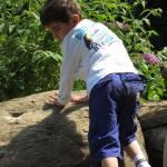 img_4249.jpg