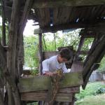 img_4362.jpg