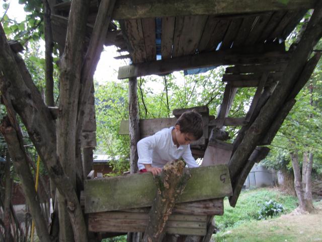 img_4362.jpg