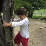 img_4367.jpg
