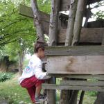 img_4368.jpg