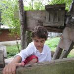 img_4372.jpg