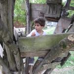 img_4374.jpg