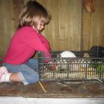 img_4379.jpg