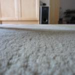 img_4463.jpg
