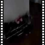 mvi_4438