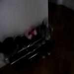 mvi_4438