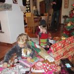 img_4637.jpg