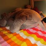 img_4787.jpg