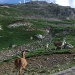 Pic du Midi de Bigorre avec Maman (10-08-2014)