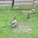 img_5556.jpg