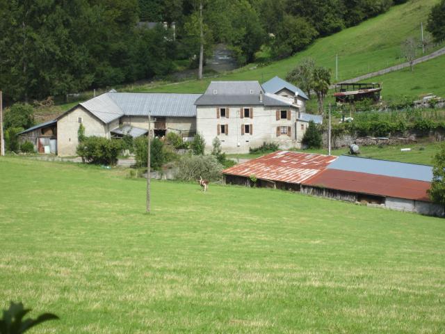 img_5606.jpg