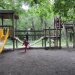 img_5652.jpg