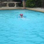 img_5358.jpg
