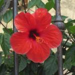 img_5359.jpg