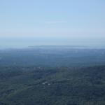 img_5480.jpg