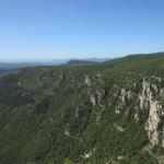 img_5484.jpg