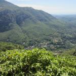 img_5486.jpg