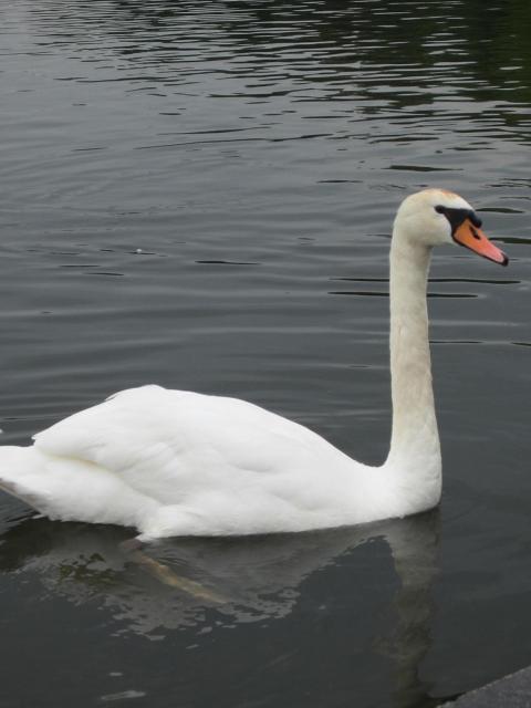 img_5129.jpg