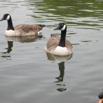 img_5130.jpg