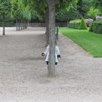 img_5149.jpg