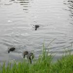img_5177.jpg