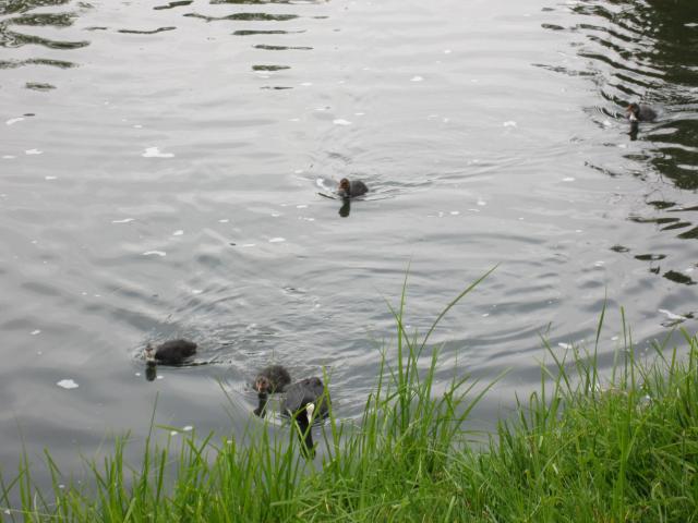 img_5177.jpg