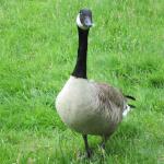 img_5179.jpg