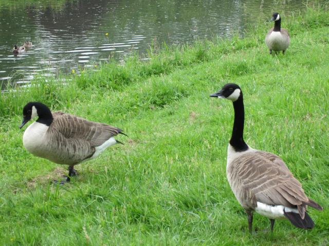 img_5181.jpg