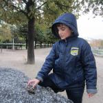 Jardin des tuileries