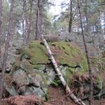 img_5975.jpg