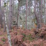 img_5976.jpg