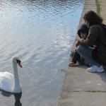 img_6090.jpg