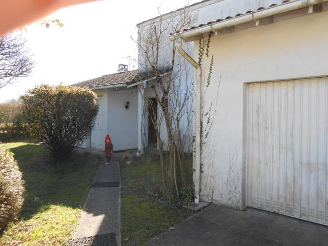 DSCN2439[1]