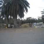 DSCN7674