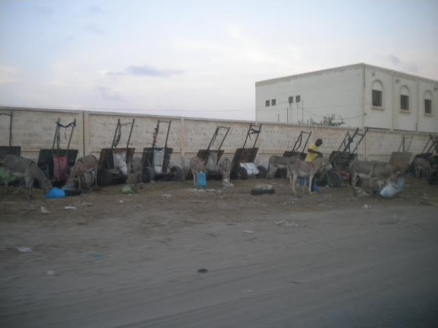 DSCN7677
