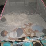 Nuit des petits