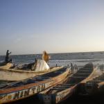 Marché aux poissons  (31-07-2015)