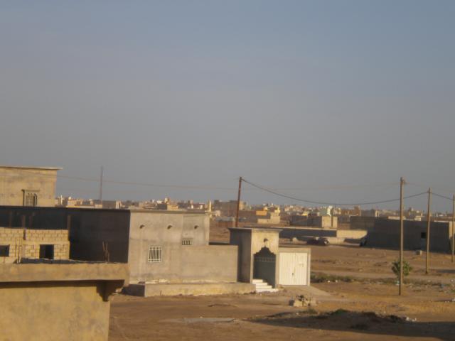 DSCN7706