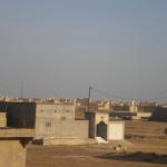 DSCN7706