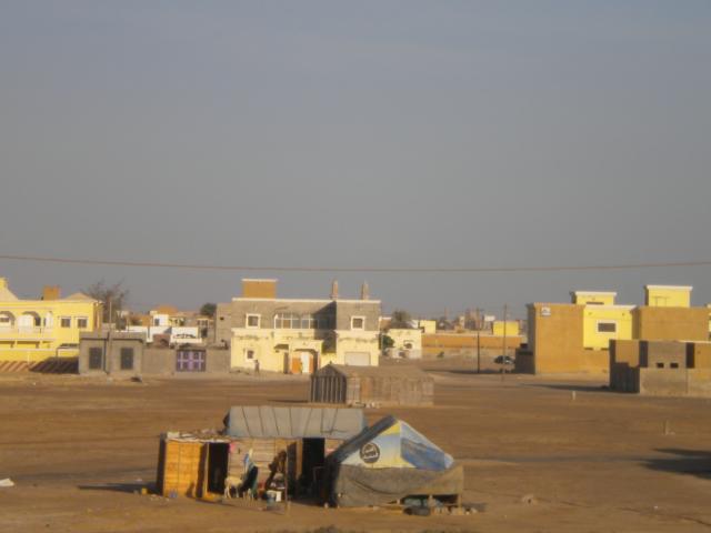 DSCN7707