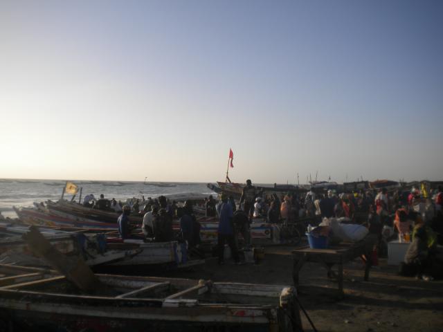DSCN7712